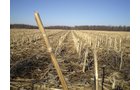 Property photo 11 - 159 Acres Offered in 7 Tracts